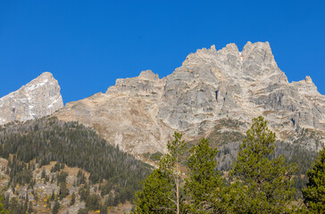 Scenic Autumn Landscape in Grand Teton National Park Wyoming