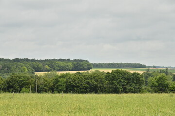 Ciel gris au dessus des bois et prairies près du bourg de Champagne au Périgord Vert  © Photocolorsteph