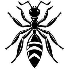 Stylized Black and White Ant Illustration Vector Graphic
