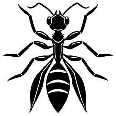 Stylized Black Ant Illustration Vector Graphic