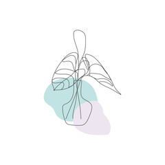logo design hand drawn line plant in pot