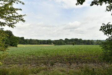 Champ dénudé et avec jeunes pousses sous un ciel gris près du bourg de Champagne au Périgord Vert  © Photocolorsteph