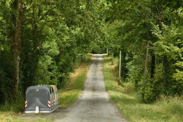 Route de campagne s'enfonçant dans la forêt près du bourg de Champagne au Périgord Vert  © Photocolorsteph