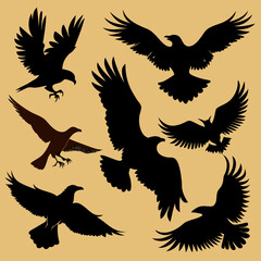Collection of Black Bird Silhouettes in Flight