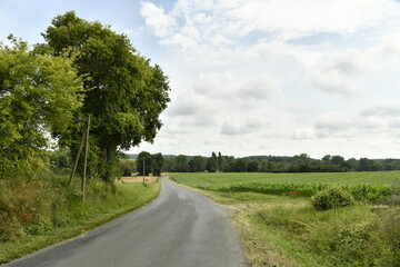 Route de campagne entre bois et champs sous les nuages blancs près du bourg de Champagne au Périgord Vert 