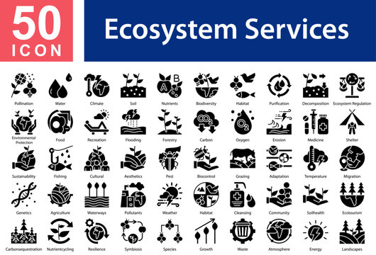 Ecosystem Services Icon Collection Set. Pollination,Water,Climate,Soil,Nutrients,Biodiversity,Habitat,Purification,Decomposition,Ecosystem Regulation,Environmental Protection, Icon Symple Glyph Vector