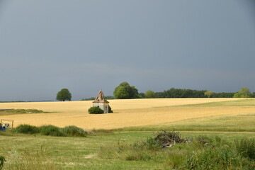 Champ de blé sous un ciel d'orage en fin de journée près du bourg de Champagne au Périgord Vert  © Photocolorsteph