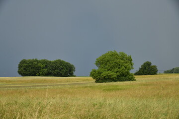 Champ de blé sous un ciel d'orage en fin de journée près du bourg de Champagne au Périgord Vert  © Photocolorsteph