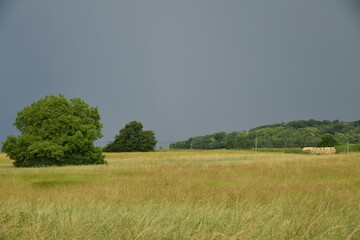 Champ de blé sous un ciel d'orage en fin de journée près du bourg de Champagne au Périgord Vert  © Photocolorsteph