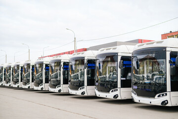 New modern buses are ready to transport passengers