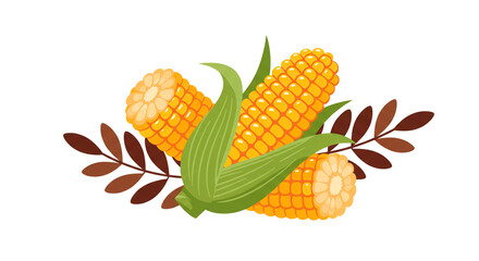 A beautiful illustration of maize cobs arranged with brown leaves and husk, creating an eye-catching autumnal design.