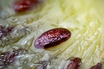 micro photography, extreme close up of a kiwi seed in the green kiwi flesh