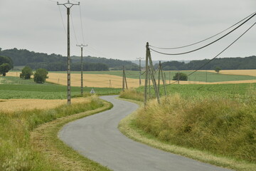 Ligne électrique le long d'une route de campagne sous un ciel gris entre les bourg de Champagne et de Fontaines au Périgord Vert  © Photocolorsteph