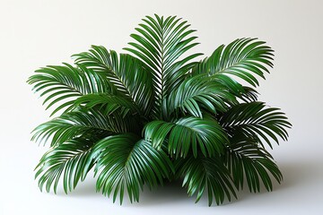 Obraz premium Lush green palm foliage against a soft background for interior design inspiration