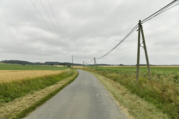 Ligne électrique le long d'une route de campagne sous un ciel gris entre les bourg de Champagne et de Fontaines au Périgord Vert  © Photocolorsteph