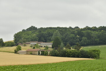 Champ et colline boisée sous un ciel gris près du bourg de Champagne au Périgord Vert  © Photocolorsteph