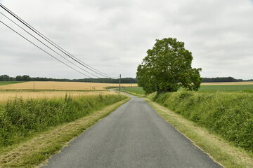 Ligne électrique le long d'une route de campagne sous un ciel gris entre les bourg de Champagne et de Fontaines au Périgord Vert  © Photocolorsteph