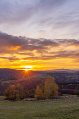 Golden sunset and colorful autumn foliage in National park Polana mountains, Slovakia © Richard Semik