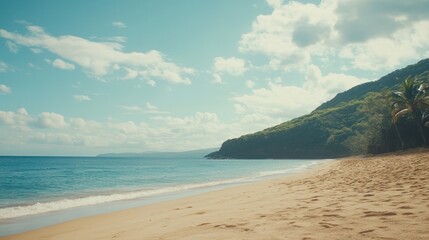 Obraz premium Tropical beach vista under sunny sky