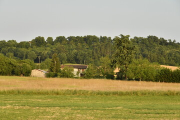 Champ de blé près des fermes en fin de journée au bourg de Champagne au Périgord Vert  © Photocolorsteph