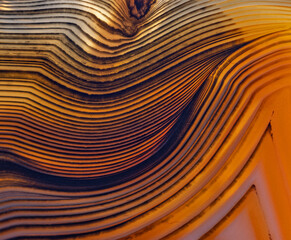 structure with black lines in orange agate