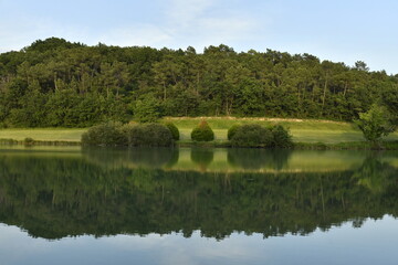 Reflet de la forêt dans les eaux d'un étang de retenue près du bourg de Champagne au Périgord Vert  © Photocolorsteph
