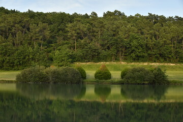 Reflet de la forêt dans les eaux d'un étang de retenue près du bourg de Champagne au Périgord Vert  © Photocolorsteph