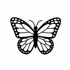 Butterfly vector ilustration