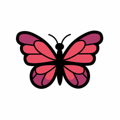 Butterfly vector ilustration