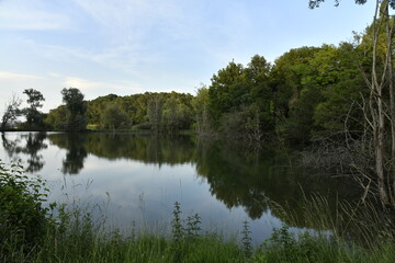 Reflet dans l'étang de la forêt sous la lumière du coucher de soleil près du bourg de Champagne au Périgord Vert  © Photocolorsteph