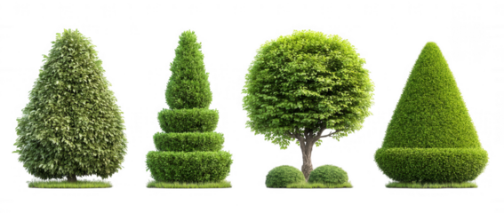 Topiary Garden Decorative Trees Collection Set on Transparent Background