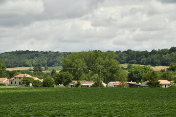 Ciel gris au dessus d'un paysage rural de collines boisées et des champs dans la vallée au bourg de Champagne au Périgord Vert  © Photocolorsteph