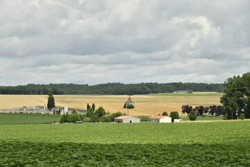 Ciel gris contrastant avec le vert et le jaune des champs près du bourg de Champagne au Périgord Vert  © Photocolorsteph