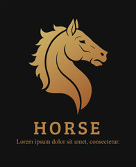 Vector golden horse head emblem and lettering on the dark background.