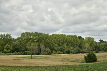 Ciel gris sur un paysage rural aux environs du bourg de Champagne au Périgord Vert  © Photocolorsteph