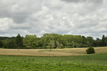 Ciel gris au dessus d'un champ de blé près du bourg de Champagne au Périgord Vert  © Photocolorsteph