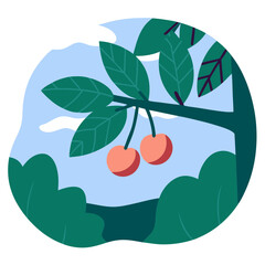 Cherry fruit hanging on a tree branch against a blue sky  