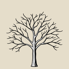 Obraz premium A bare tree silhouette in stark black and white.