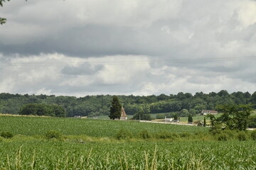 Gros cumulus gris au dessus d'un champ de maïs près du bourg de Champagne au Périgord Vert  © Photocolorsteph