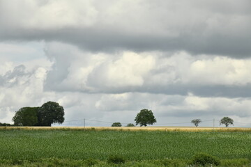 Arbres isol&eacute;s sous de gros cumulus gris pr&egrave;s du bourg de Champagne au P&eacute;rigord Vert 