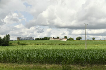 Gros cumulus gris au dessus d'un champ de maïs près du bourg de Champagne au Périgord Vert  © Photocolorsteph