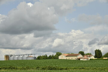 Nuages gris au dessus d'un champ de maïs près du bourg de Champagne au Périgord Vert  © Photocolorsteph