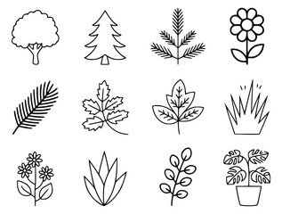 Line art nature elements for design and decoration