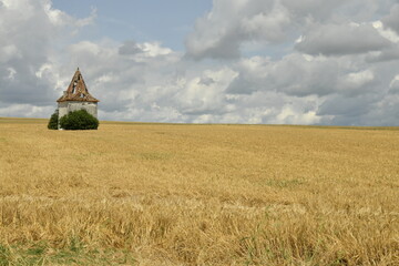 Champ de blé avant l'arrivée d'un orage près du bourg de Champagne au Périgord Vert  © Photocolorsteph