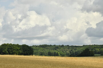 Éclaircie localisée sur une forêt offrant un gradué de verts sur les arbres près du bourg de Champagne au Périgord Vert  © Photocolorsteph