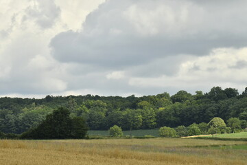 Éclaircie localisée sur une forêt offrant un gradué de verts sur les arbres près du bourg de Champagne au Périgord Vert  © Photocolorsteph