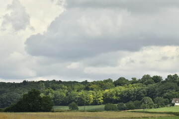 Éclaircie localisée sur une forêt offrant un gradué de verts sur les arbres près du bourg de Champagne au Périgord Vert  © Photocolorsteph