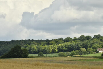 Éclaircie localisée sur une forêt offrant un gradué de verts sur les arbres près du bourg de Champagne au Périgord Vert  © Photocolorsteph