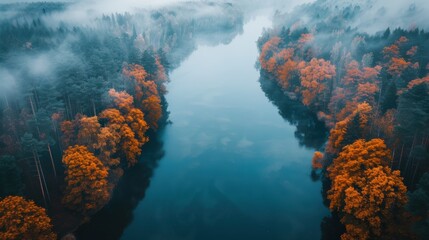 Aerial Shot of Misty River