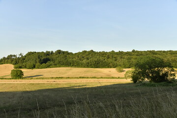 Champs de blé et colline boisée sous un ciel clair en fin de journée près du bourg de Champagne au Périgord Vert  © Photocolorsteph